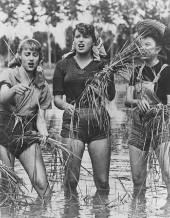 Silvana Mangano and friends in their fetching rice picker outfits in the